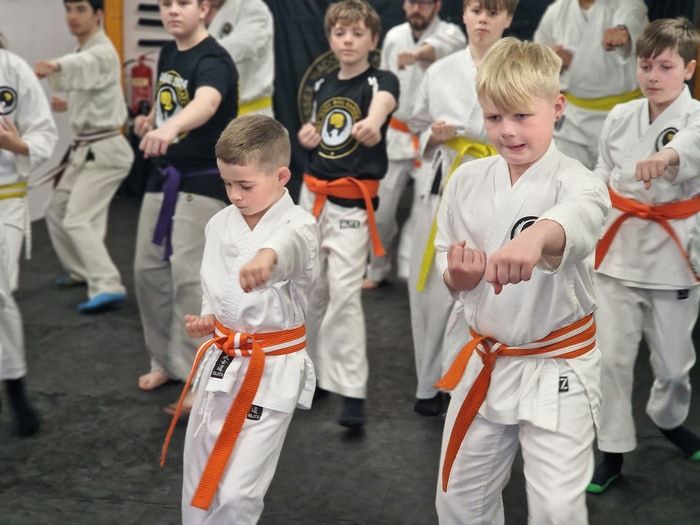 All About Our Beginners Karate Programme